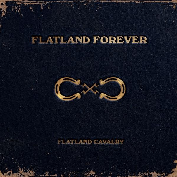Flatland Forever (Gold Vinyl) by Flatland Cavalry album cover