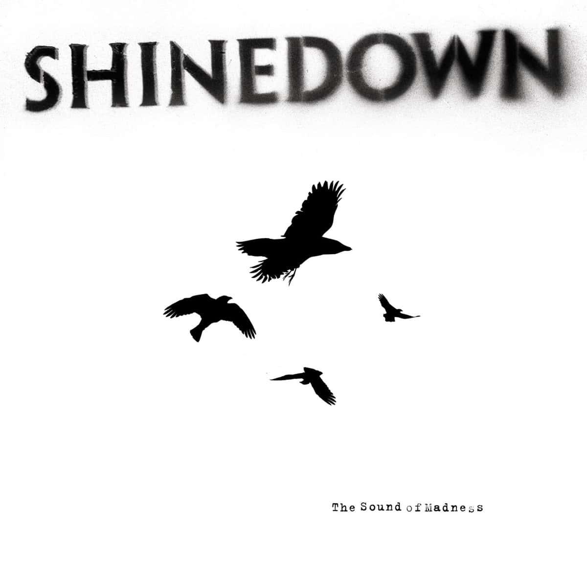 The Sound of Madness by Shinedown album cover