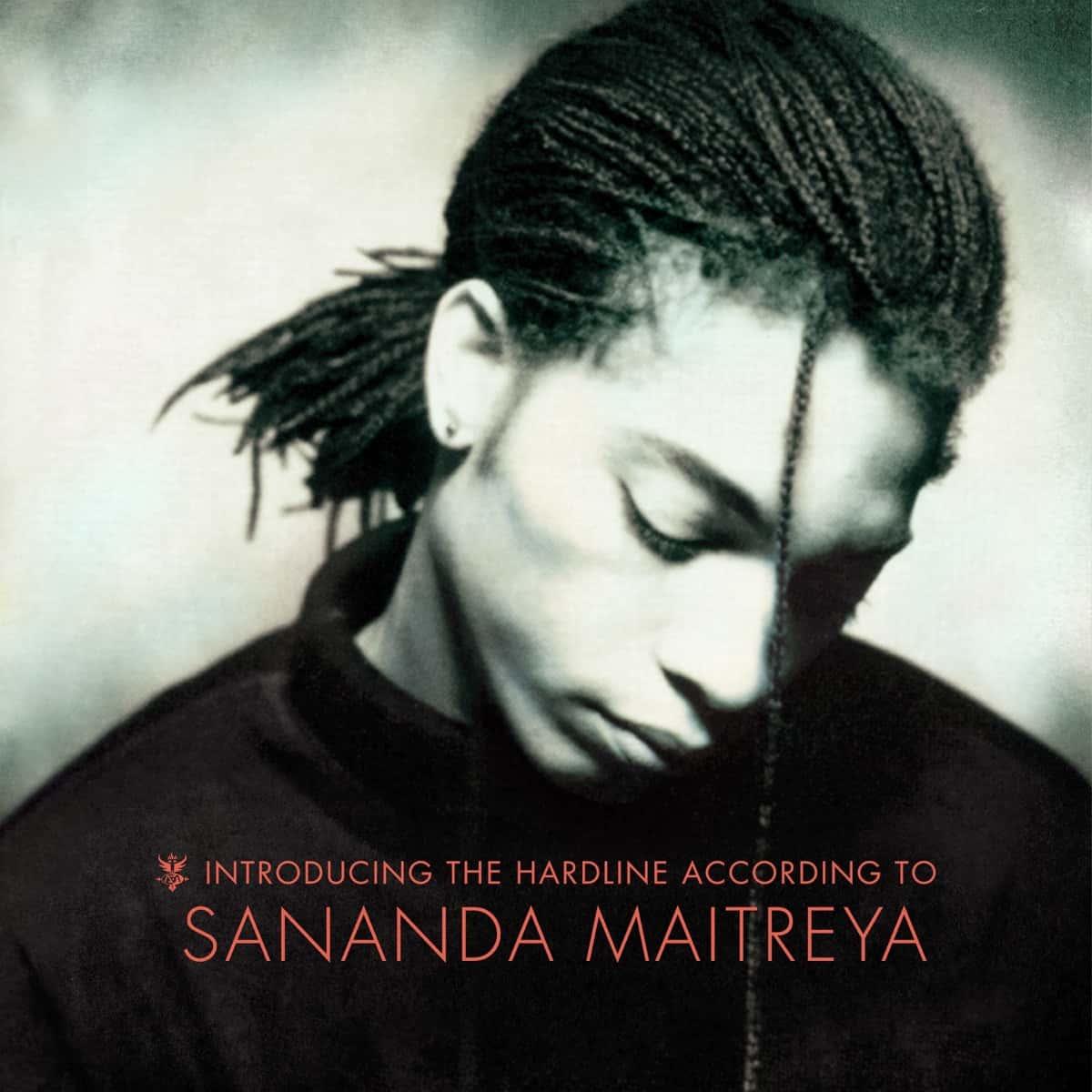 Introducing the Hardline According to Terence Trent D'Arby by Terence Trent D'Arby album cover