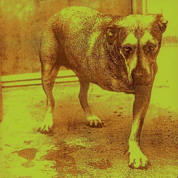Alice in Chains (Highlighter Yellow Vinyl) by Alice in Chains album cover