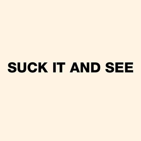 Suck It and See by Arctic Monkeys album cover