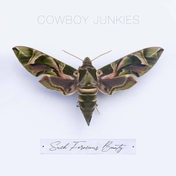 Such Ferocious Beauty (Translucent Green Vinyl) by Cowboy Junkies album cover
