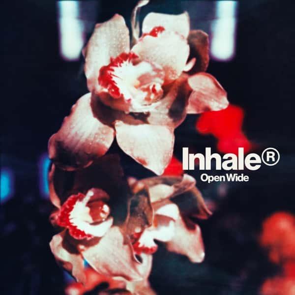 Open Wide by Inhaler album cover