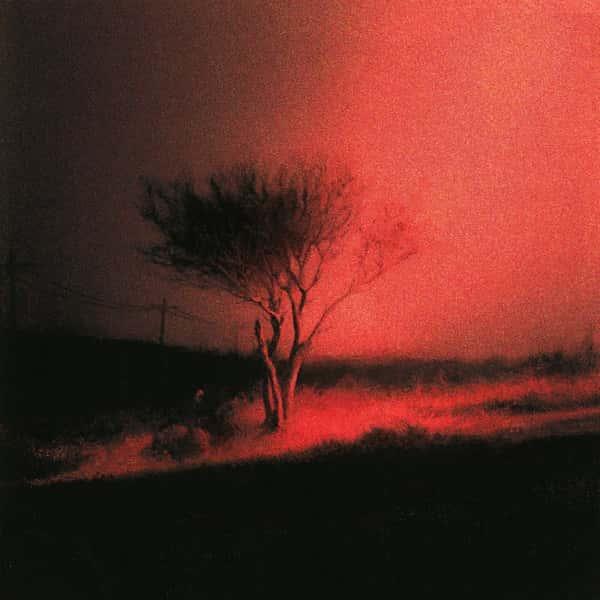 Piss in the Wind by Joji album cover