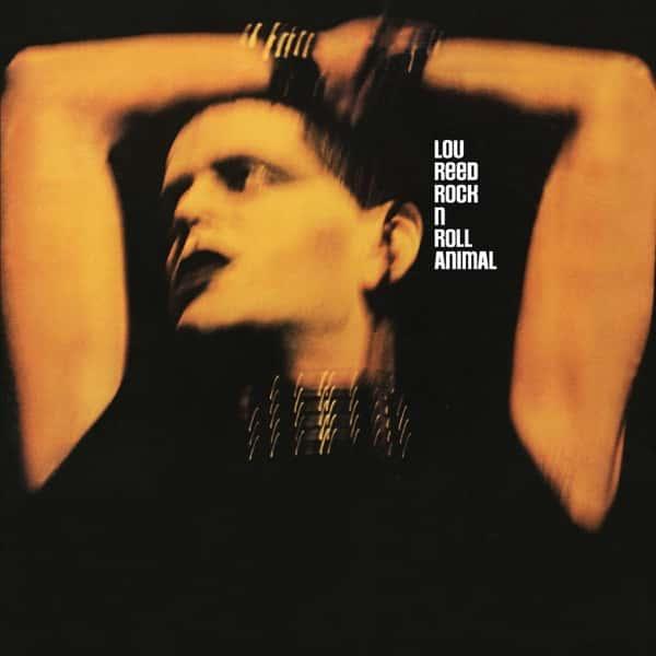 Rock 'n' Roll Animal by Lou Reed album cover