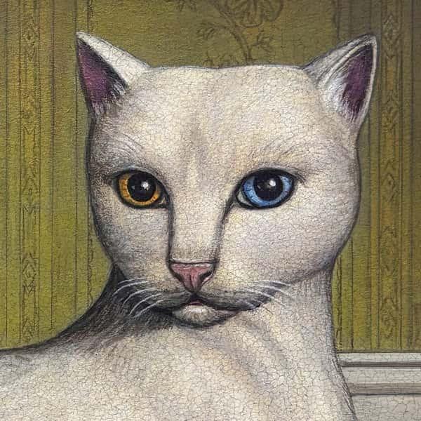 Nothing's About to Happen to Me by Mitski album cover