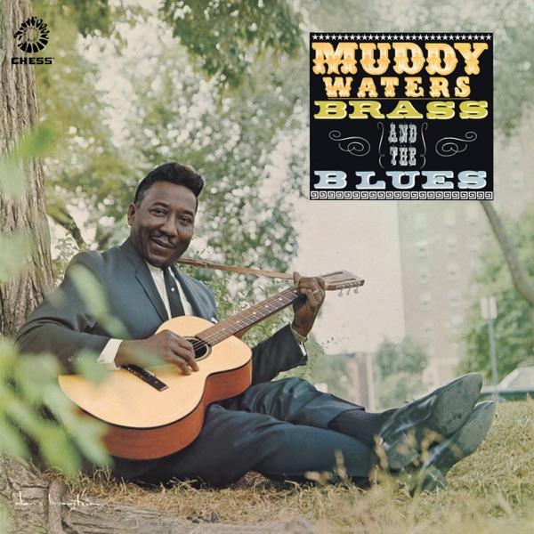 Muddy, Brass & the Blues by Muddy Waters album cover