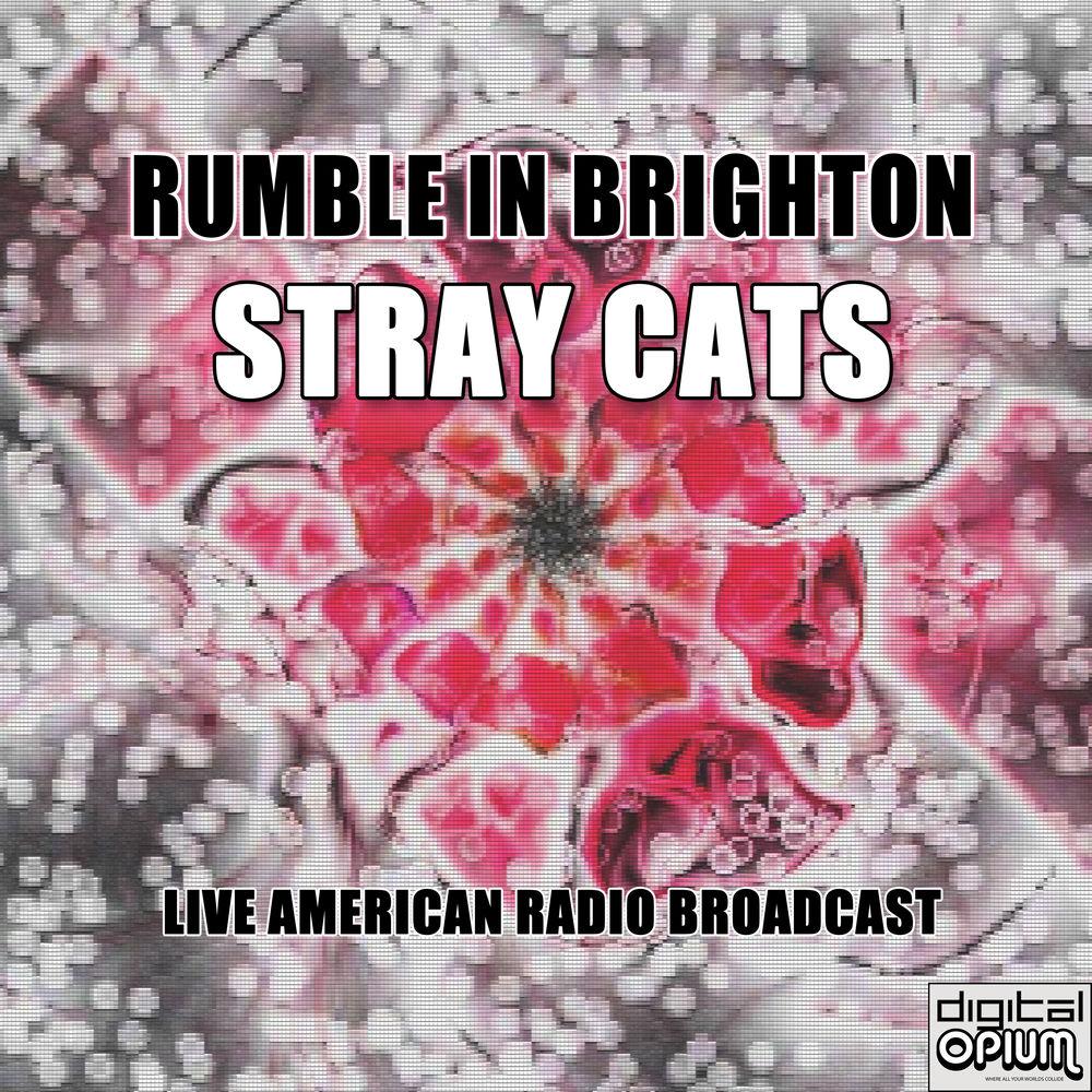 Rumble in Brighton Live by Stray Cats album cover