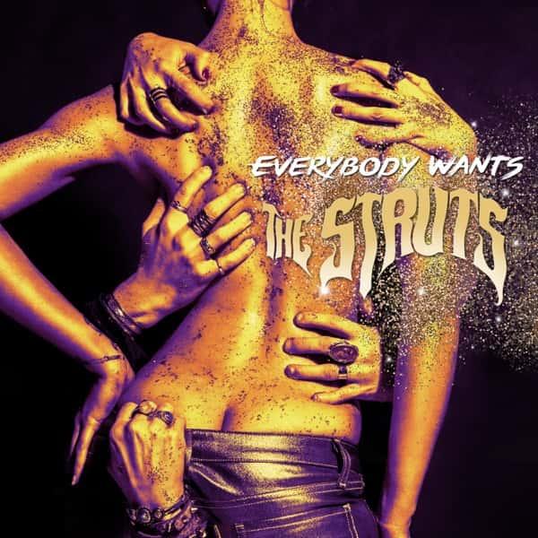 Everybody Wants by The Struts album cover