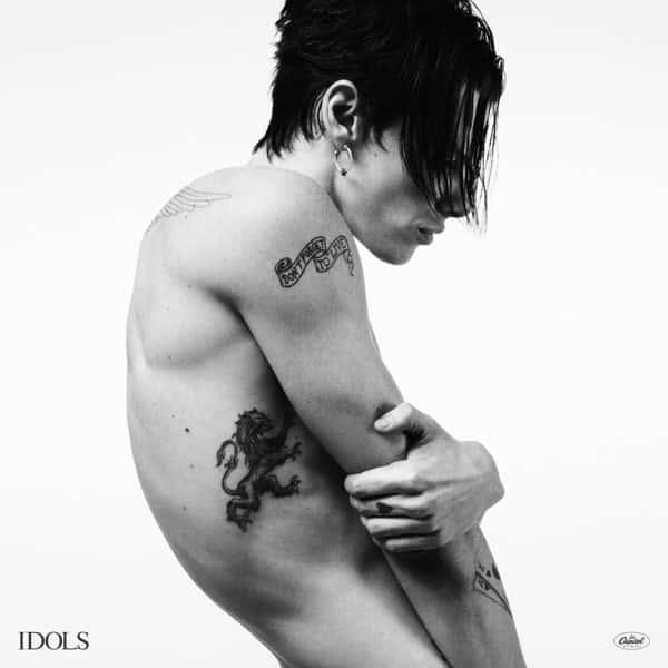 Idols (Supermoon Silver Vinyl) by Yungblud album cover